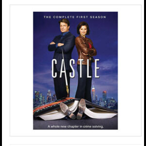 Castle: The Complete First Season (DVD, 2009, 3-Disc Set)